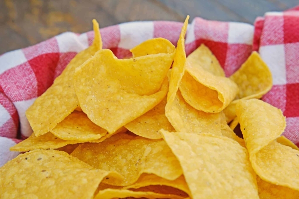 Tortilla Chips Recipe - Fresh and Warm Homemade Tortilla Chips