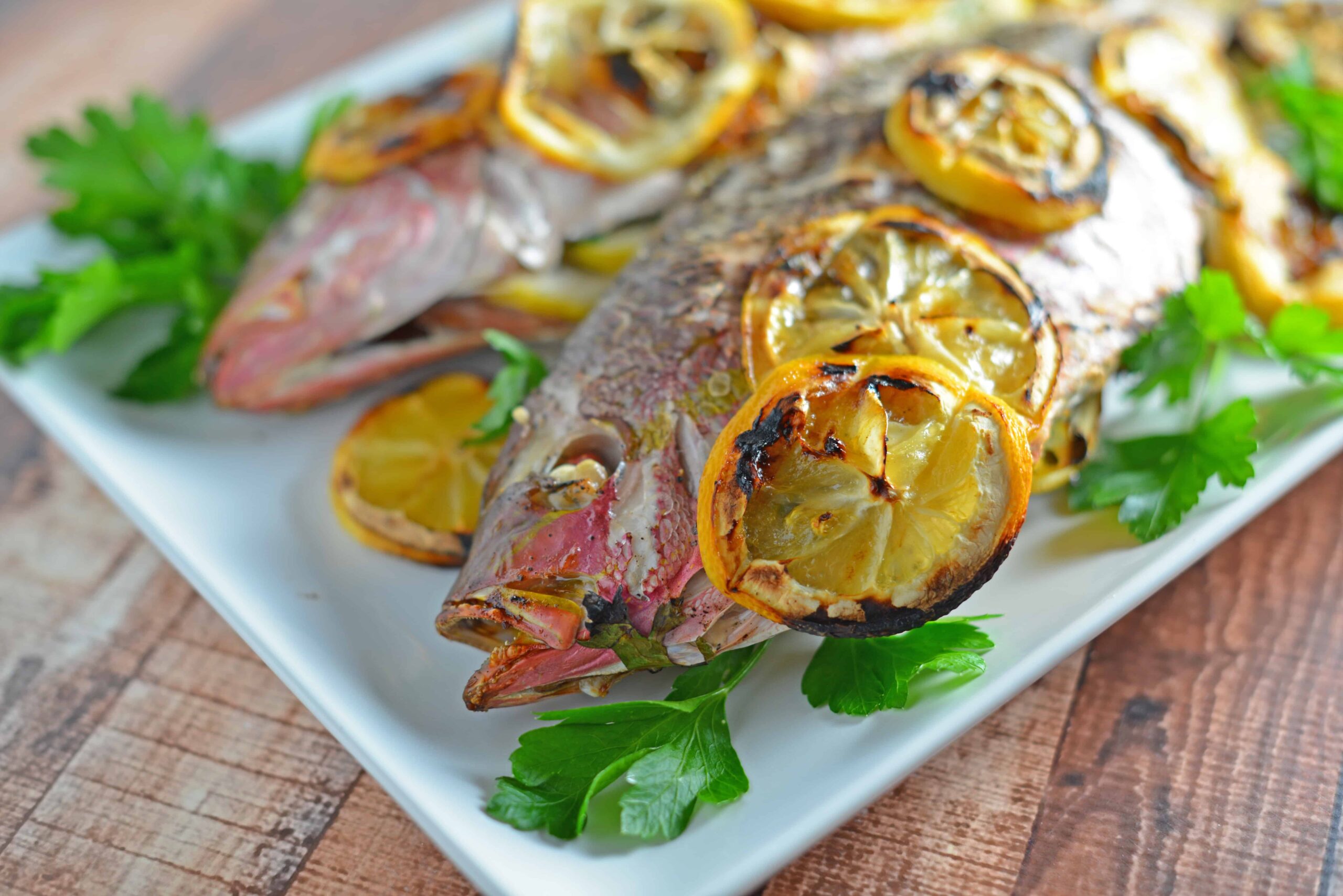 https://www.savoryexperiments.com/wp-content/uploads/2012/08/Grilled-Snapper-5-scaled.jpg