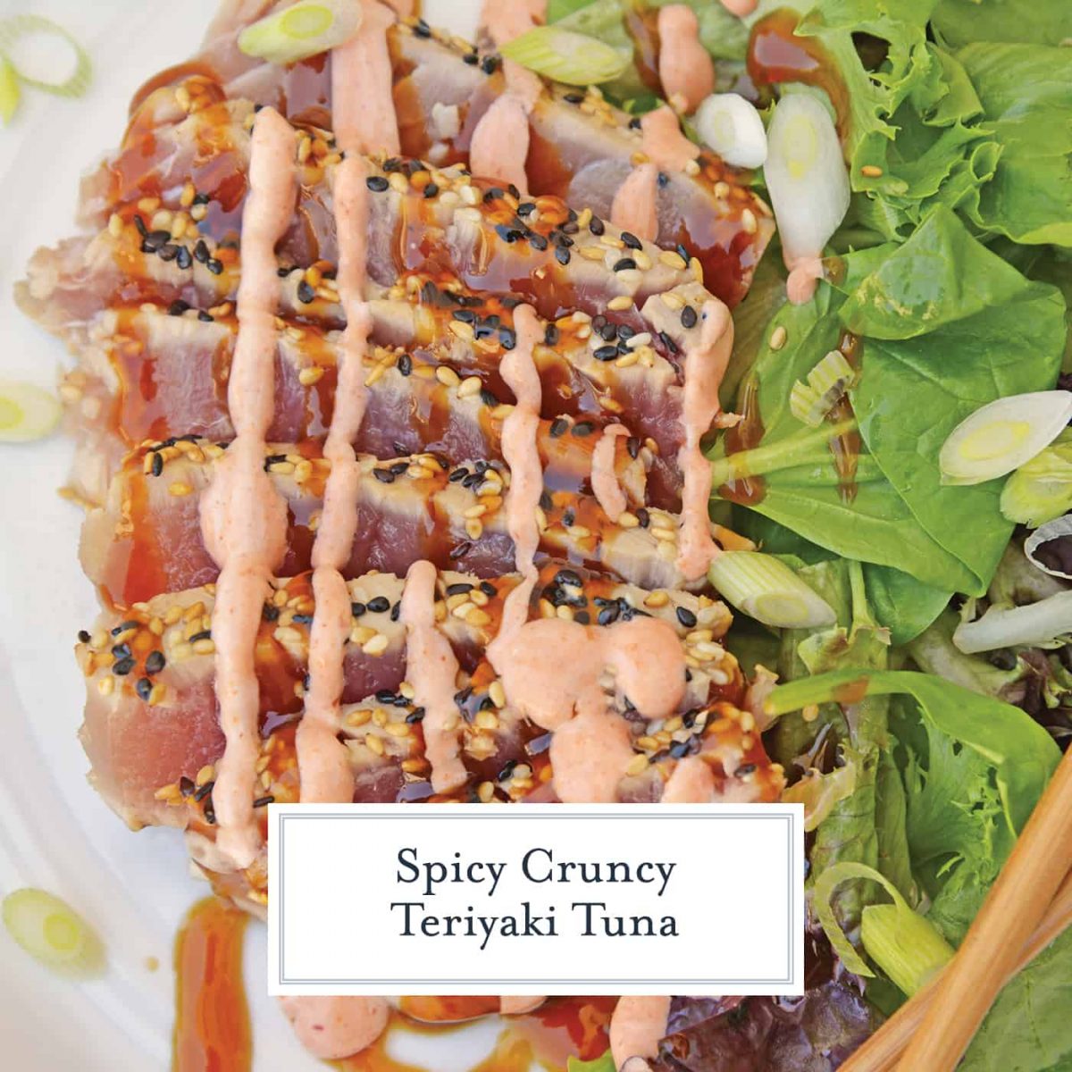 Teriyaki Tuna with Volcano Sauce {VIDEO) Ready in 20 Mins!