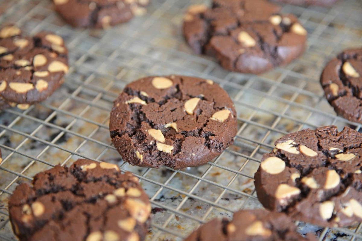 Chocolate Peanut Butter Cookie Sandwiches - A Cookie Sandwich Recipe