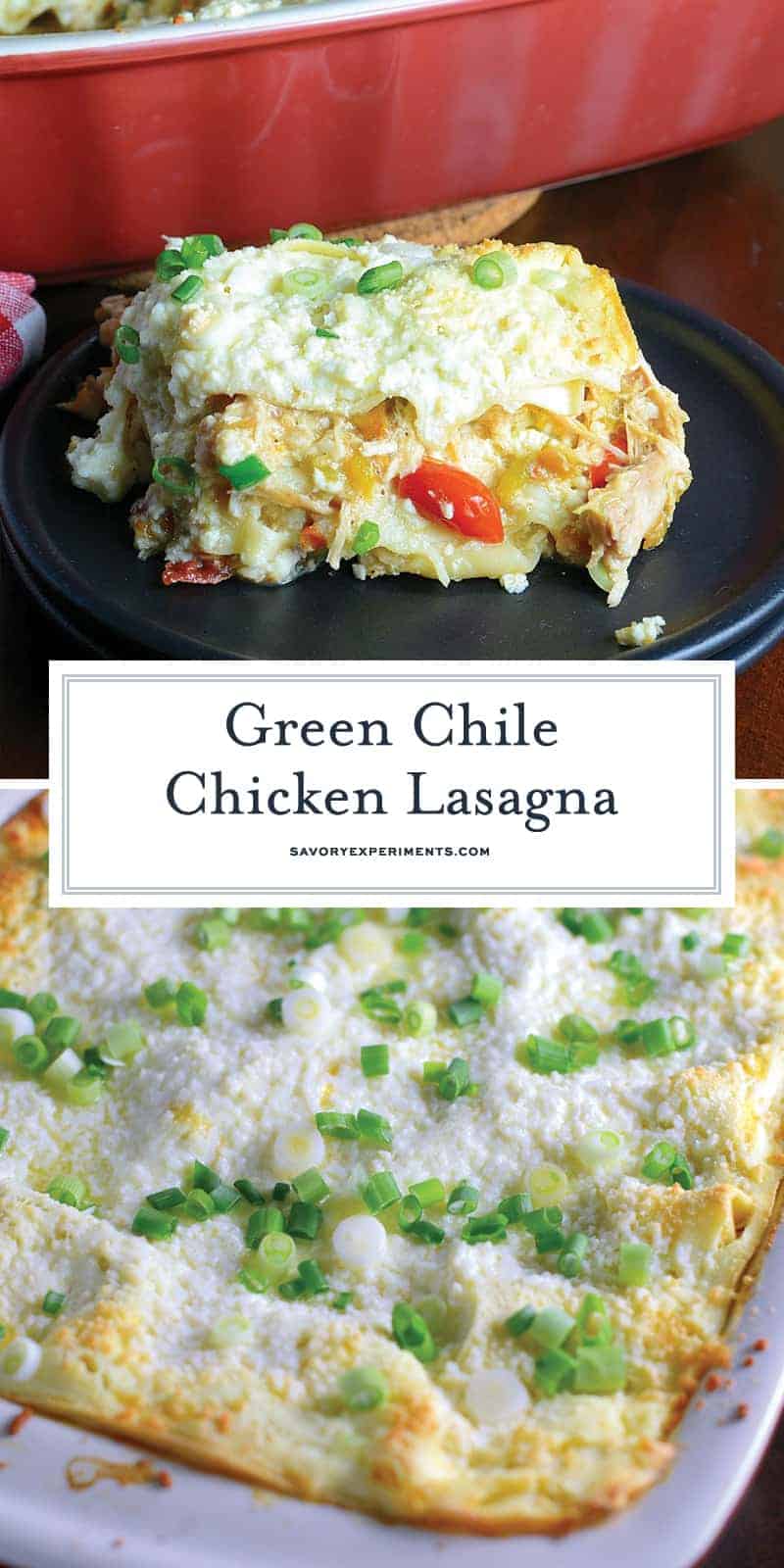 Cheesy Green Chile Chicken Lasagna Dan330