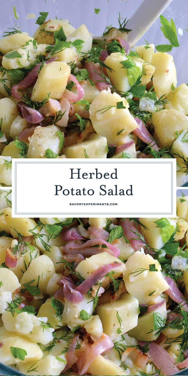 Herbed Potato Salad | Savory Experiments