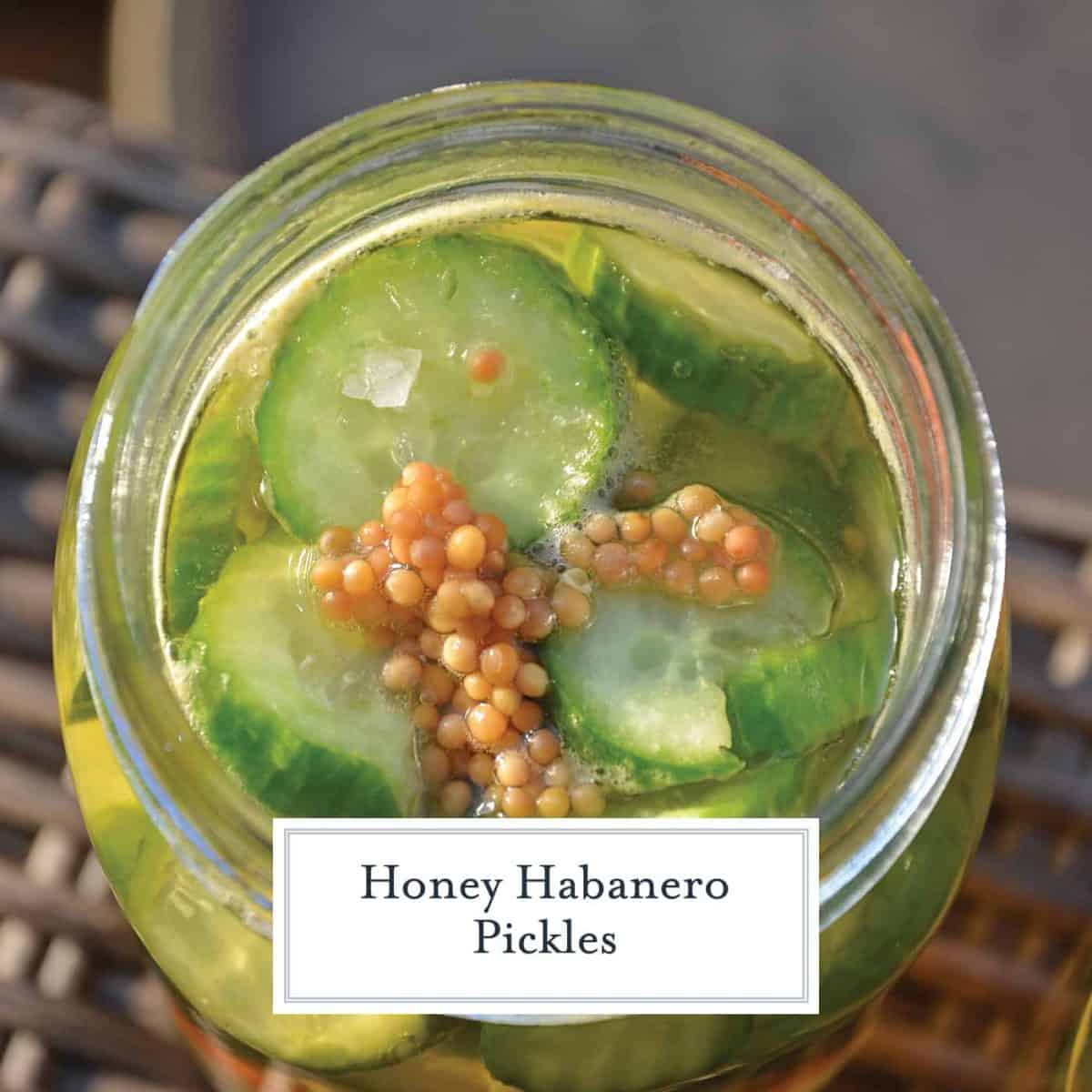 Honey Habanero Pickles - Easy Homemade Pickle Recipe