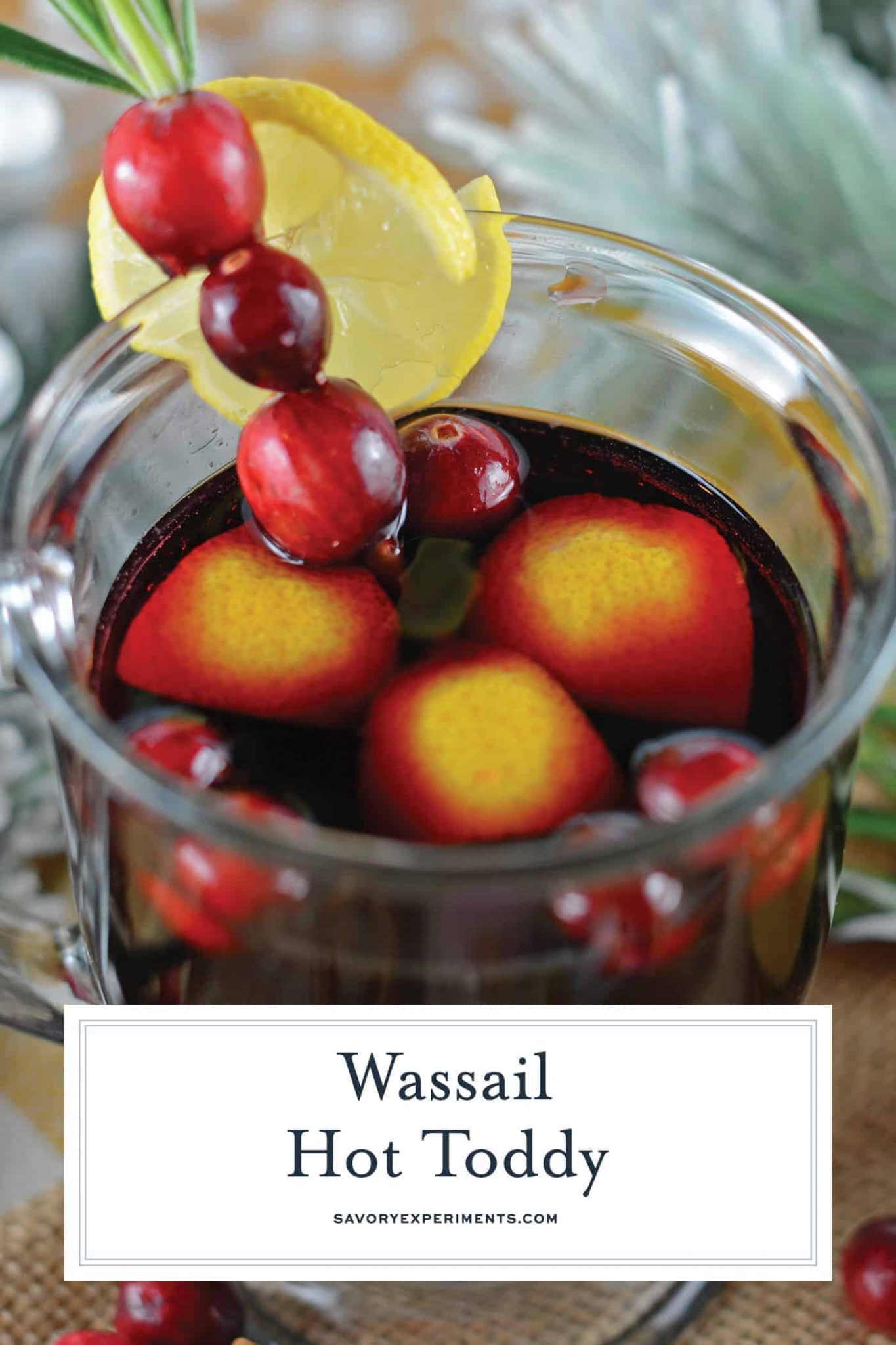 Wassail Hot Toddy Spiced Wine Hot Toddy Recipe