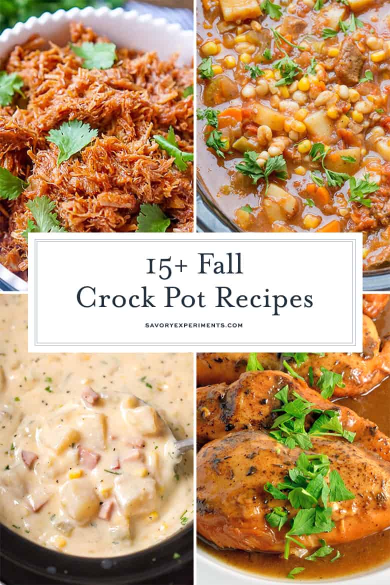 19+ BEST Fall Slow Cooker Recipes - Comfort Food Crock Pot Recipes