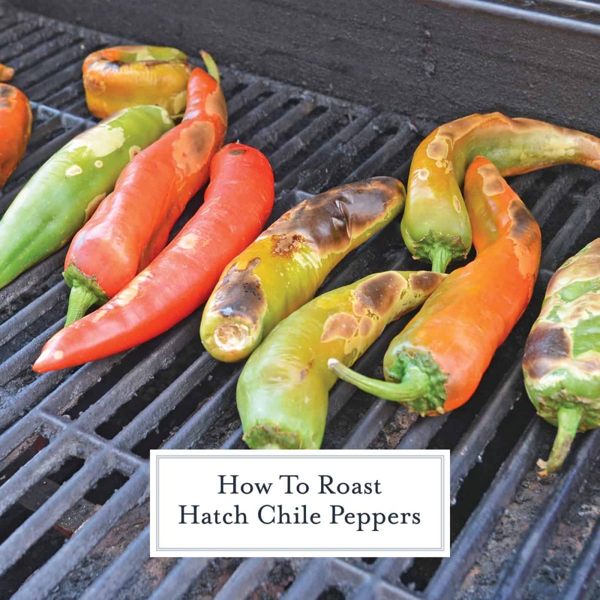How to Roast Hatch Chile Peppers + VIDEO (Peeling & Freezing Peppers)
