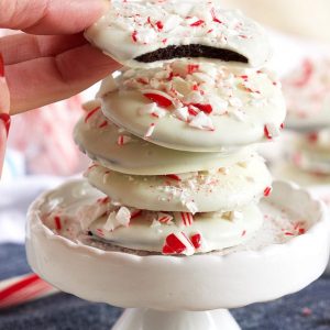 No Bake Cookie Recipes - Simple and Easy No Bake Cookies