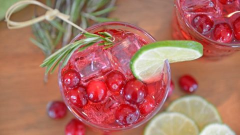 https://www.savoryexperiments.com/wp-content/uploads/2019/10/Holiday-Cranberry-Punch-4-480x270.jpg