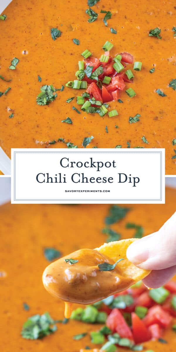 5-Ingredient Slow Cooker Chili Cheese Dip - Gal on a Mission