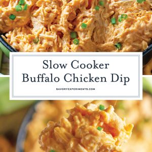 Slow Cooker Ranch Chicken Dip Recipe - Olivia's Cuisine
