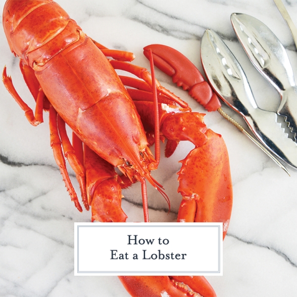 how-to-eat-a-lobster-step-by-step-instructions-pics