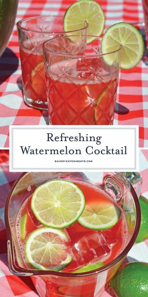 Refreshing Vodka Watermelon Cocktail 