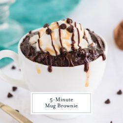 Mug Brownie - Fudgy Brownie in a Mug in 5 Minutes!