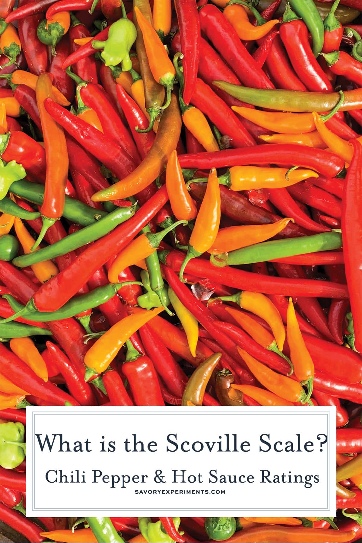 The Scoville Scale For Chili Peppers | Can you Handle the Heat?