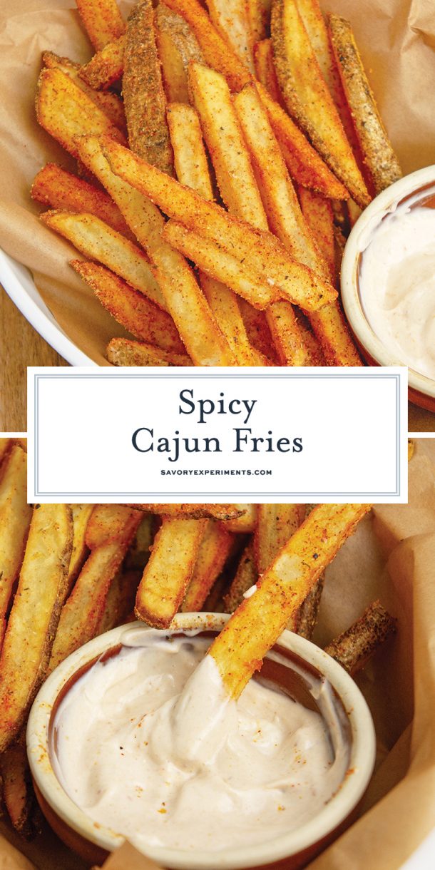 BEST Cajun Fries Homemade Cajun French Fries Both Fried AND Baked!