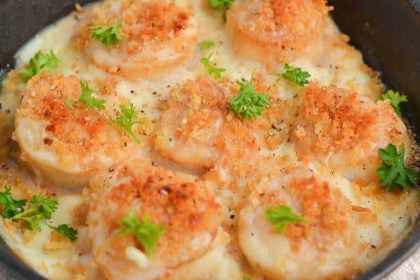 Bechamel Baked Scallop Recipe- Clove & Bay Leaf Cream Sauce