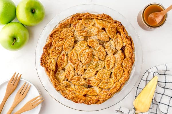 BEST Apple Pie Recipe (A Classic Recipe for Fall and Holidays!)