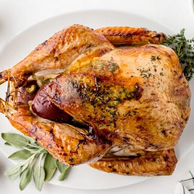 Juicy Turkey Recipe - Savory Experiments