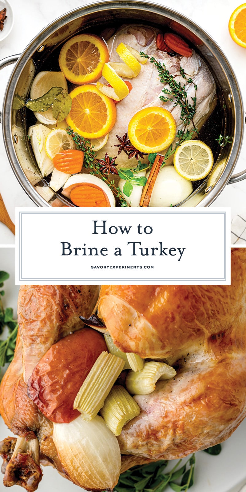 How to Brine a Thanksgiving Turkey - Handle the Heat