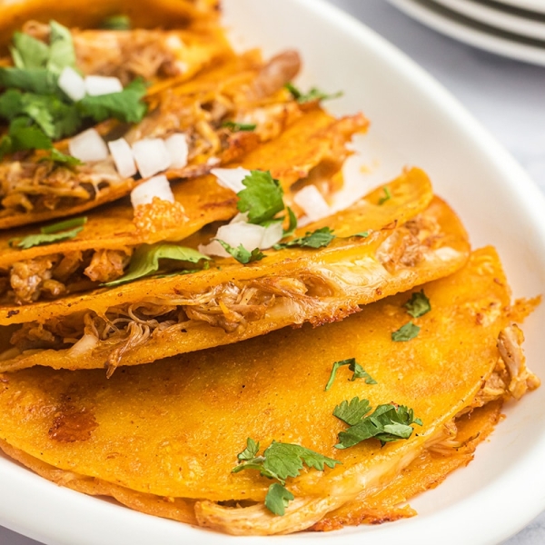 inside of chicken taco topped with cilantro and chopped onions