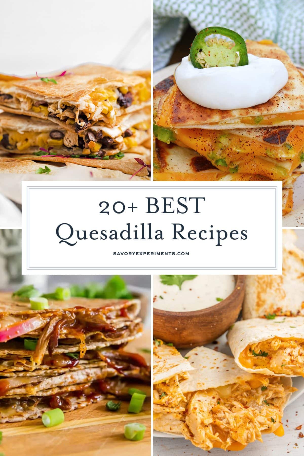 20+ BEST Quesadilla Recipes (Tons of Delicious Filling Options!)