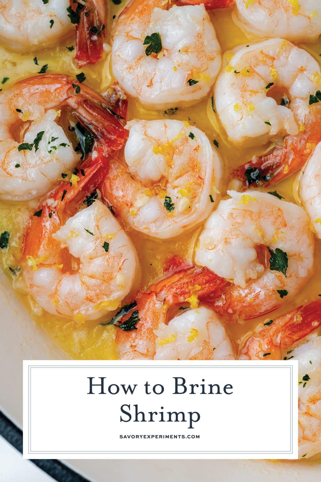 How To Brine Shrimp Learn How To Brine In A Few Simple Steps   Brine Shrimp PIN 2 1024x1536 