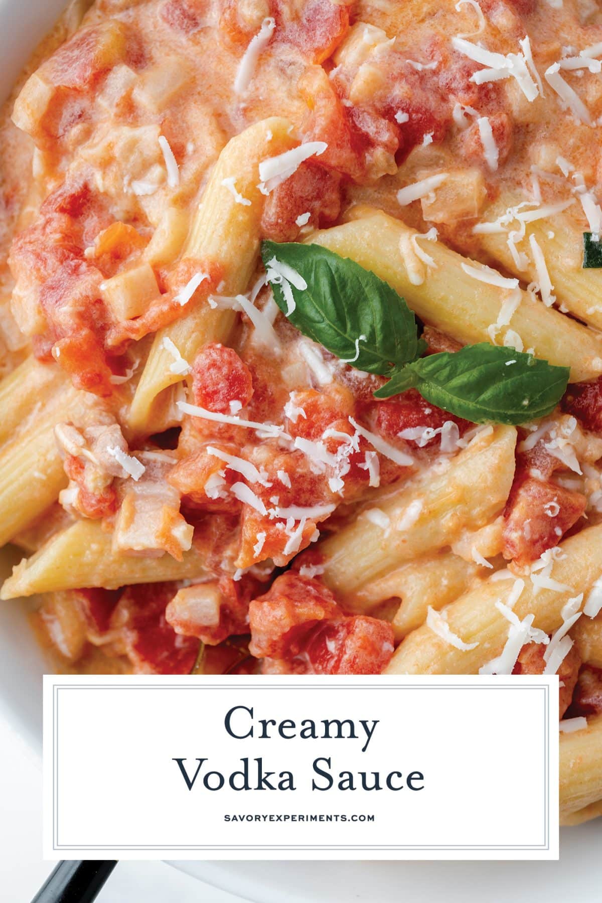 BEST Vodka Sauce Recipe (EASY Creamy Penne alla Vodka!)