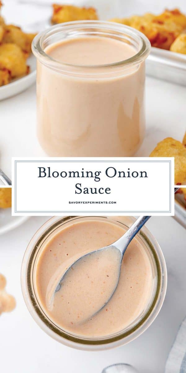 BEST Bloomin Onion Sauce (Copycat Outback Onion Ring Sauce!)