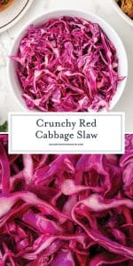 EASY Red Cabbage Slaw Recipe (A No Mayo Coleslaw Recipe!)