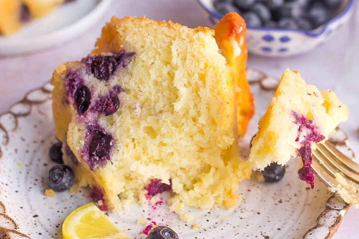 Lemon Blueberry Bundt Cake - Savory Experiments