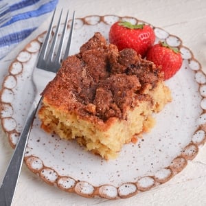 close up angled shot of cinnamon sugar biscuit on plate