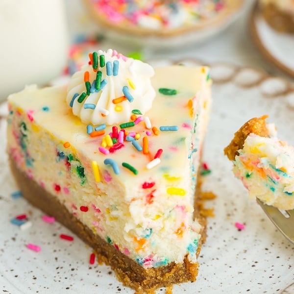 close up slice of cheesecake with graham cracker crust