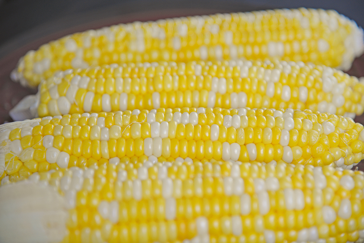 angled shot of cobs of corn