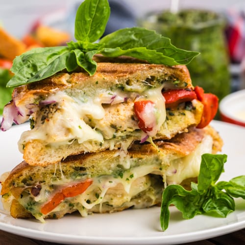 Italian Chicken Panini Recipe- Savory Experiments