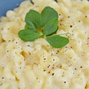 close up of truffle mac and cheese with gouda and cheddar