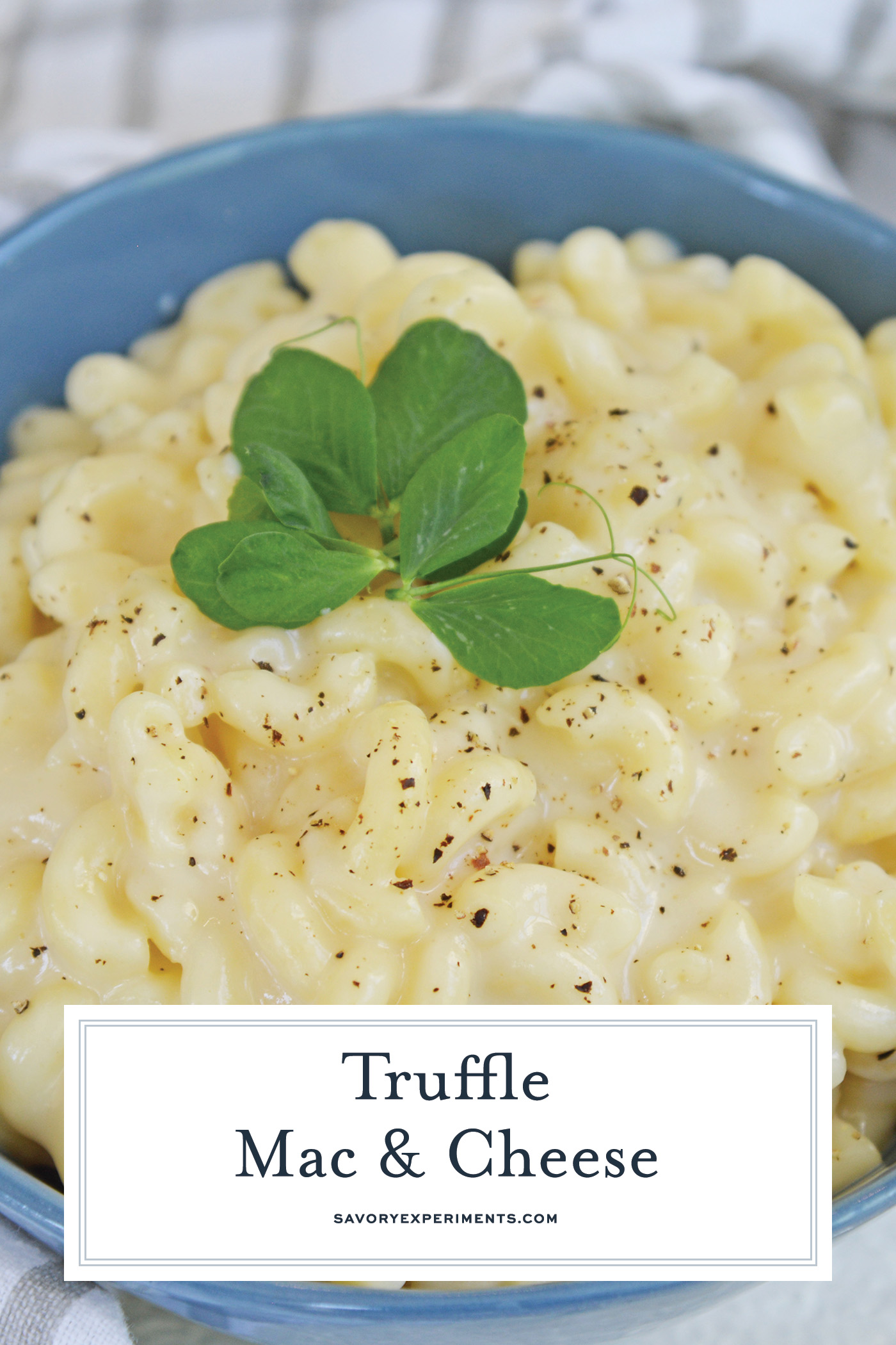 close up of truffled mac and cheese for pinterest