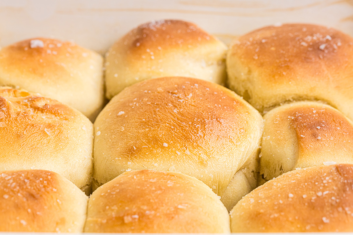 close up angled shot of pan of easy dinner rolls