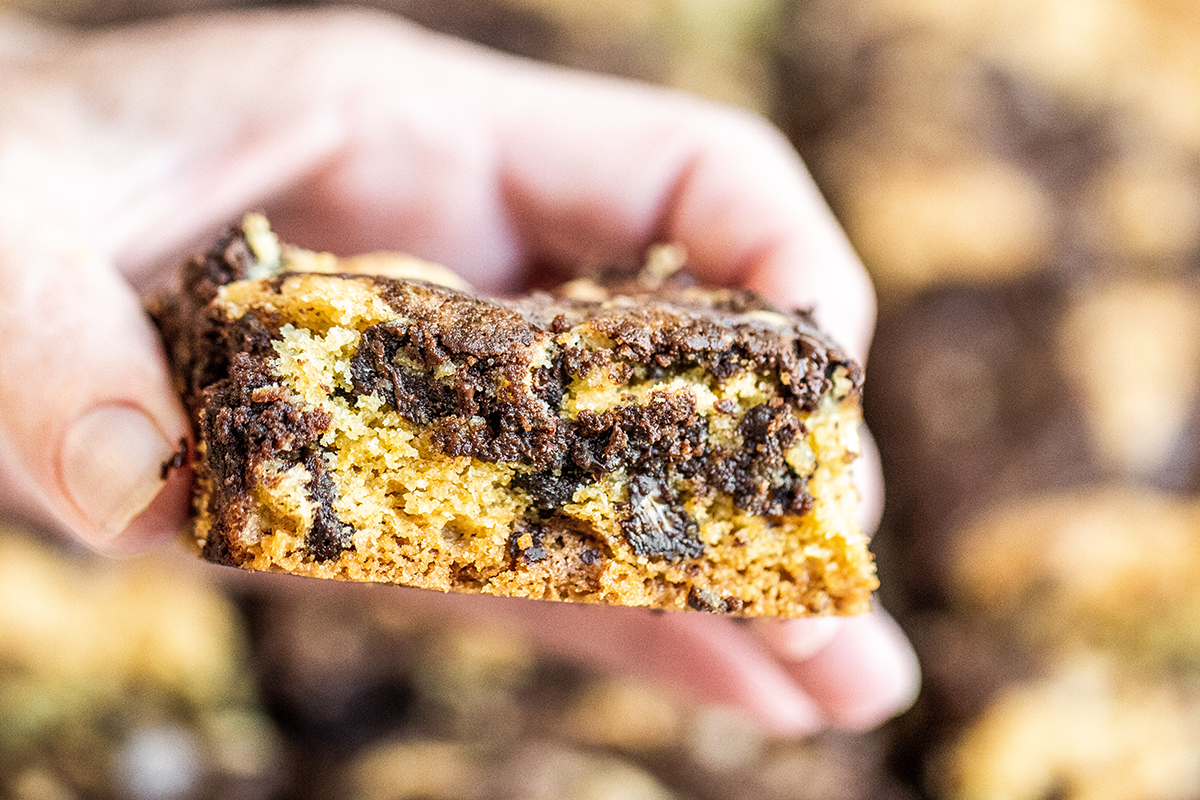 hand holding a brookie bar