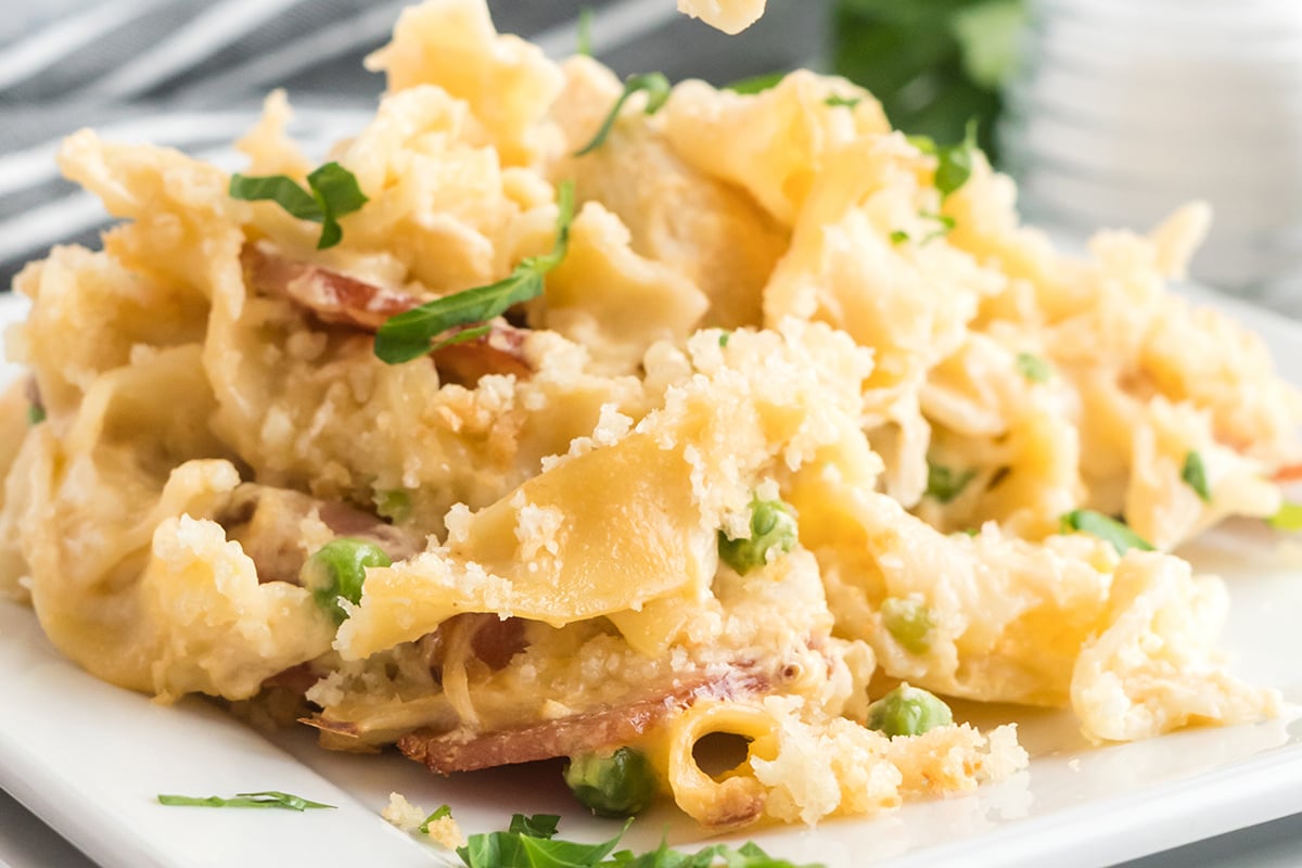 close up of chicken noodle casserole on a plate