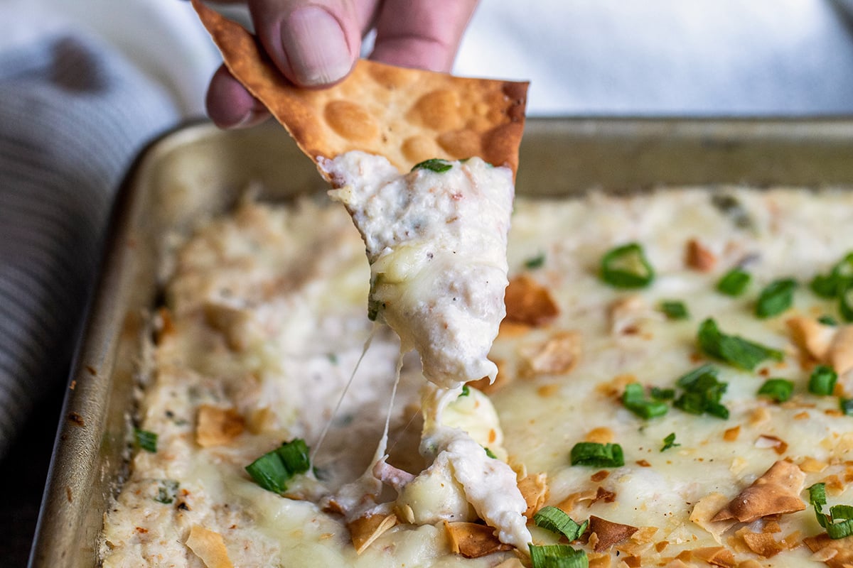 wonton chip with cheesy crab rangoon dip