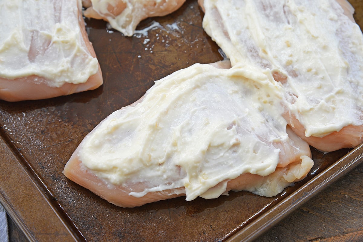 parmesan mayo on chicken breasts