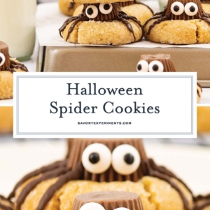 collage of halloween spider cookies for pinterest