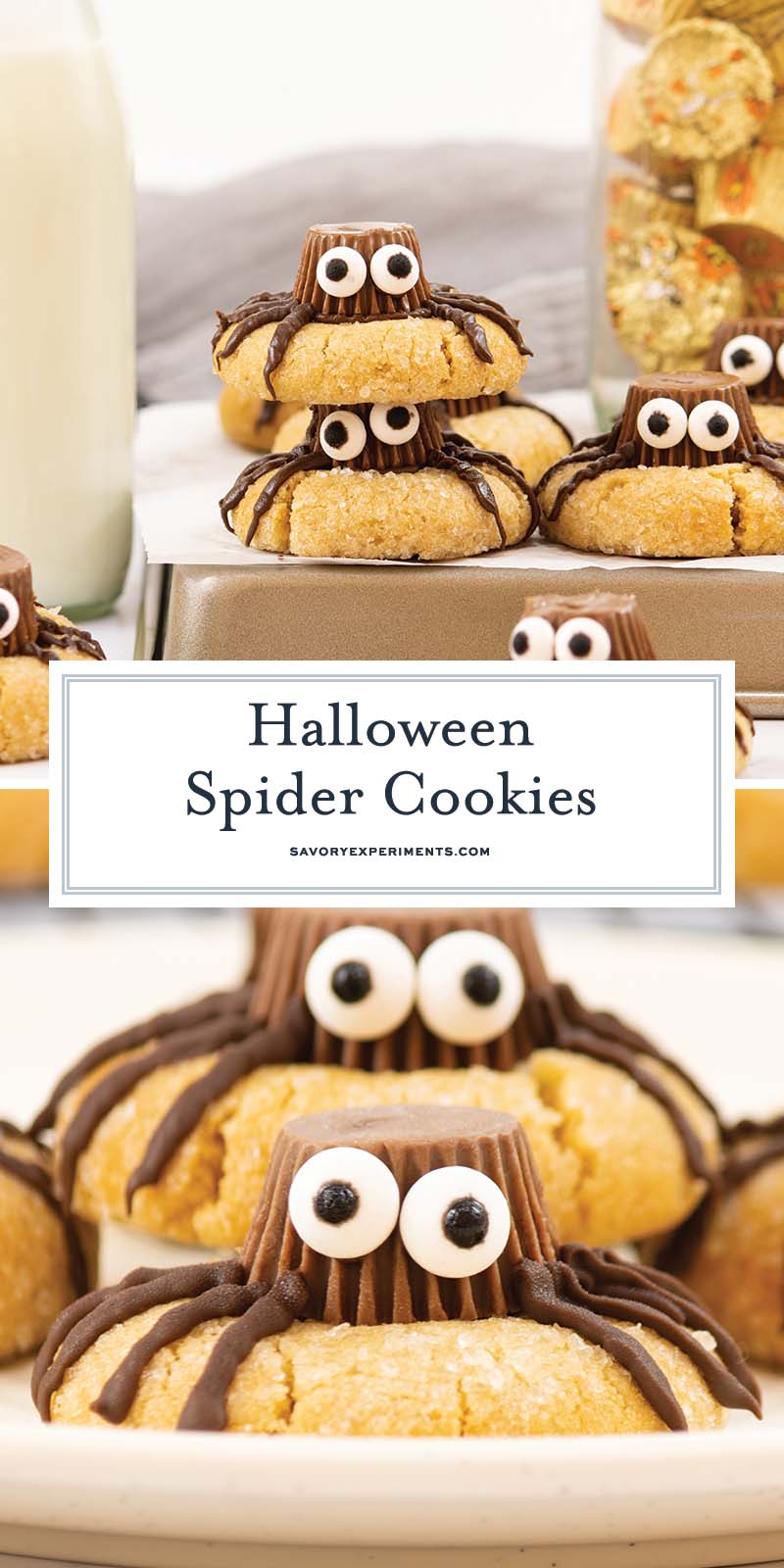 collage of halloween spider cookies for pinterest