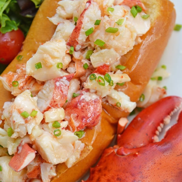 overhead of hot lobster roll