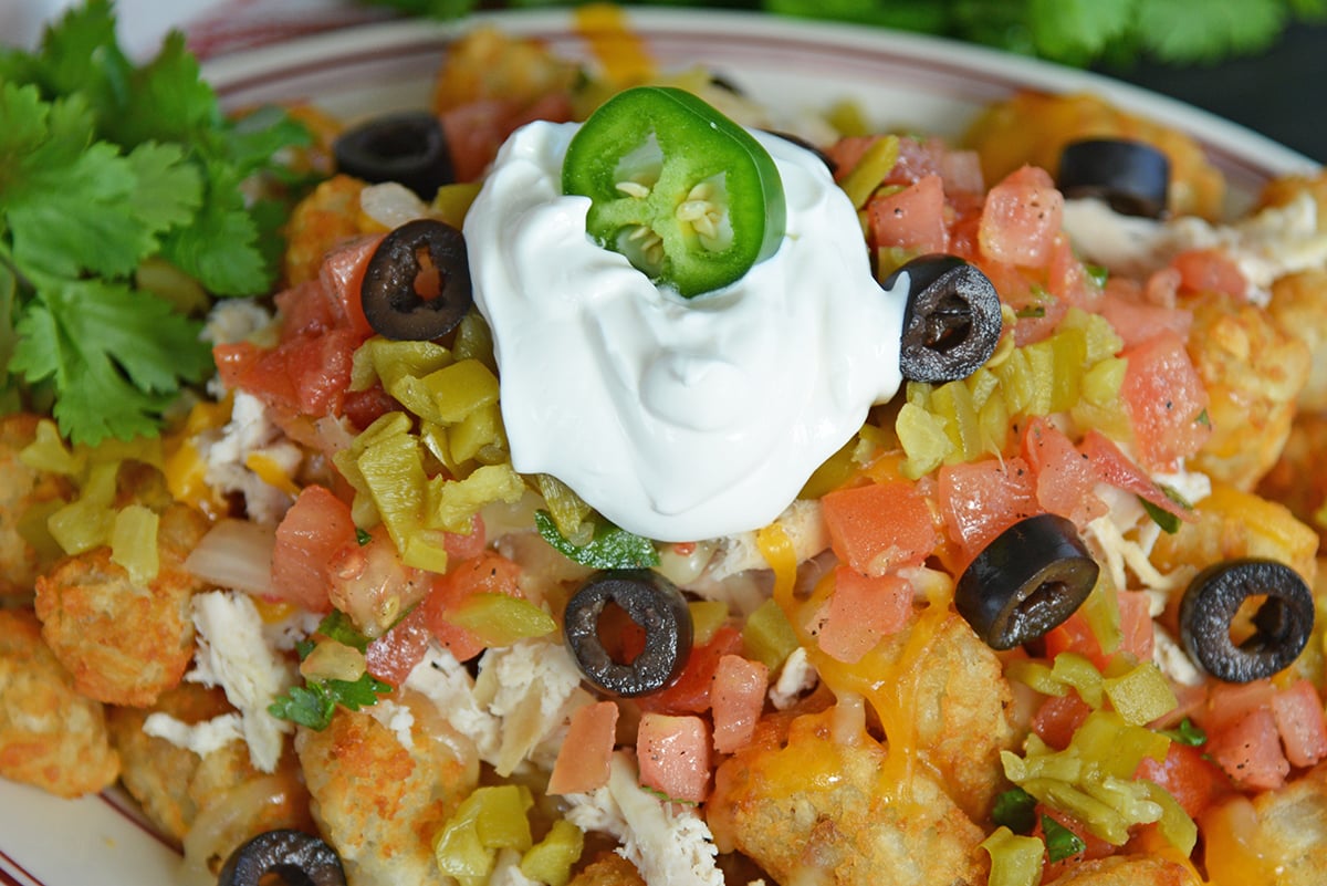 Close up of loaded tater tot nachos