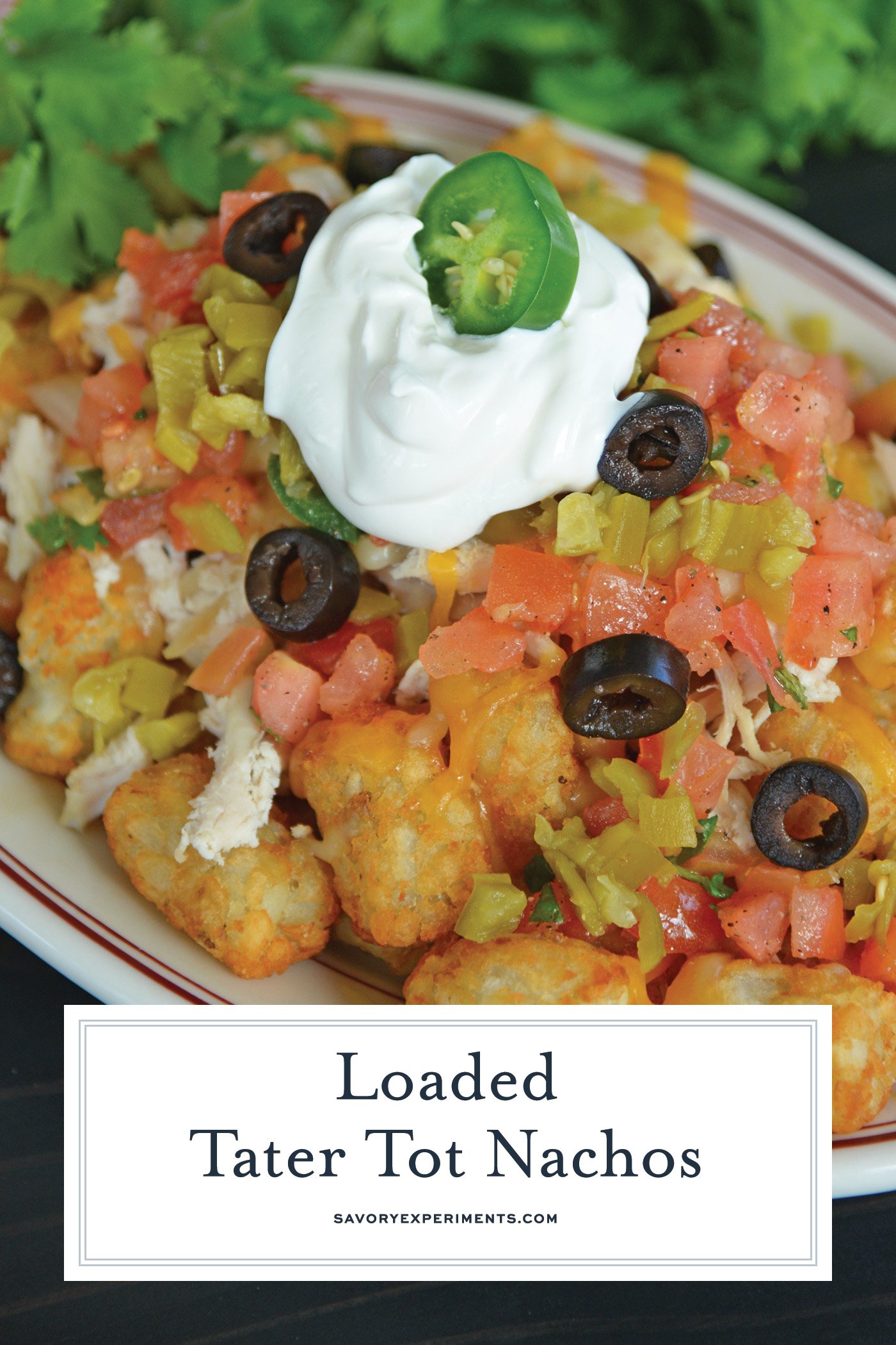 angled shot of tater tot nachos with text overlay