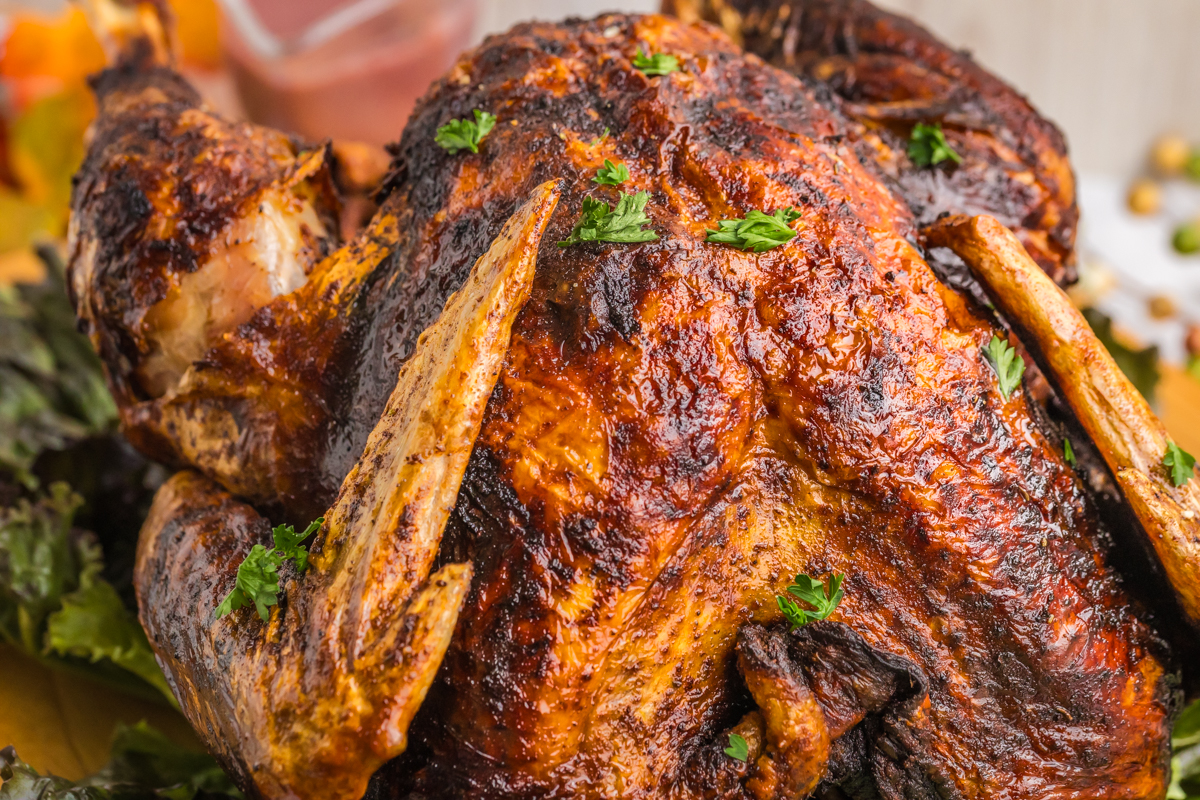 close up angled shot of fried turkey