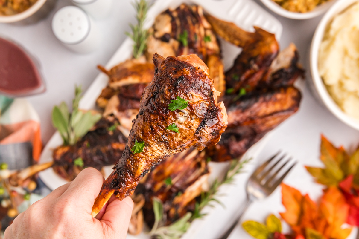 overhead shot of hand holding turkey leg