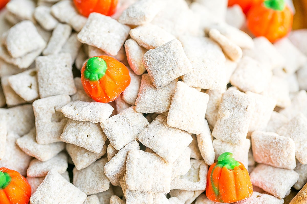 close up overhead shot of pumpkin spice puppy chow