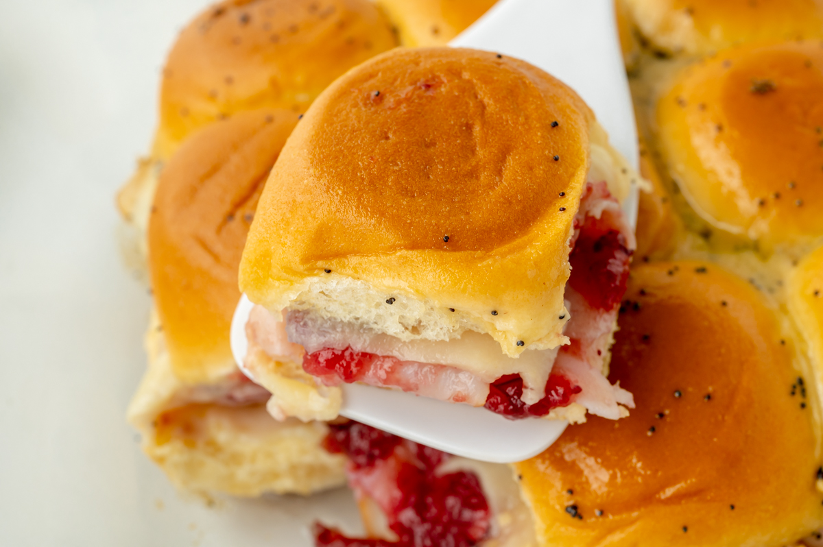 overhead shot of turkey cranberry slider on a spatula